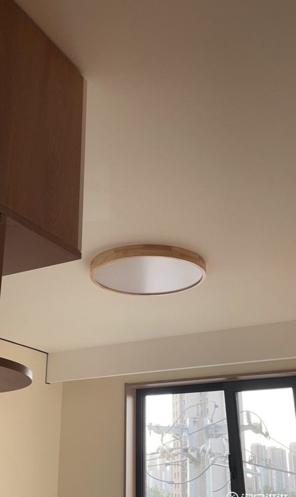Ceiling light