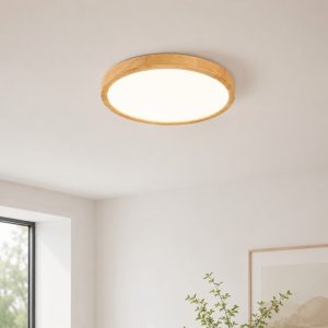 Ceiling light