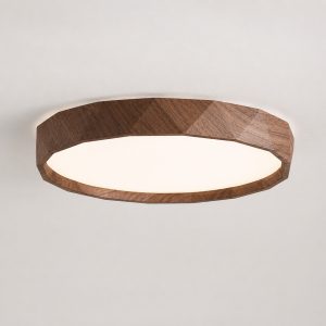 Ceiling light