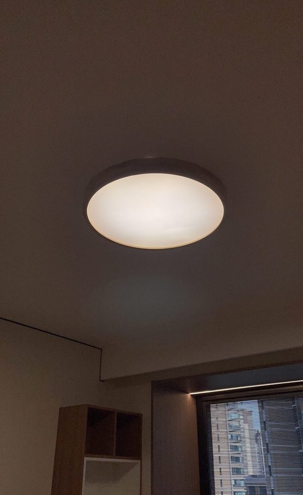 Ceiling light