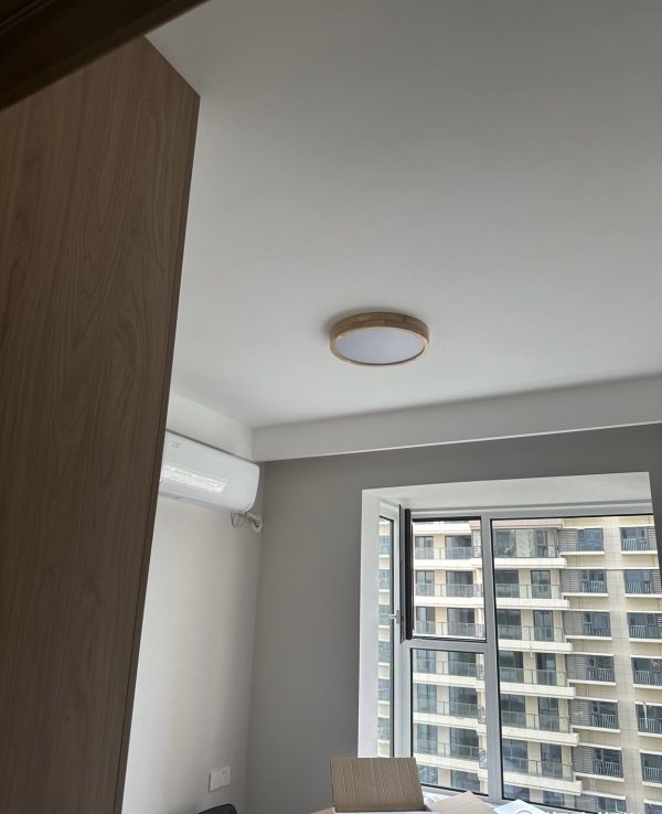 Ceiling light