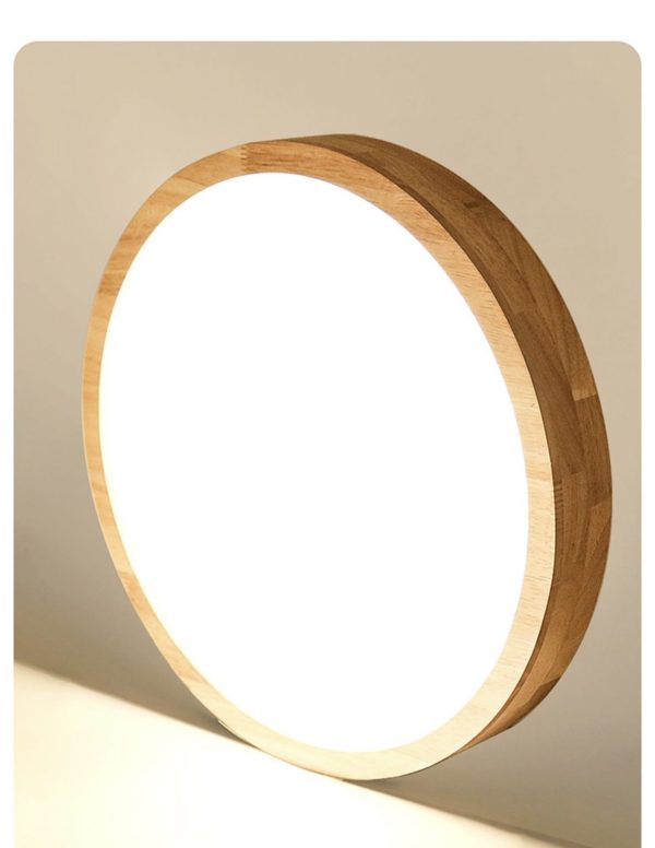 Ceiling light